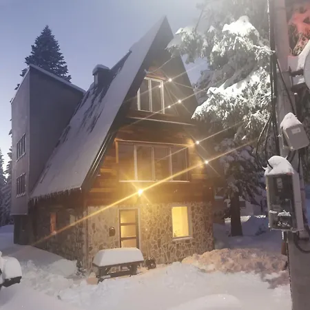 Winter Harmony