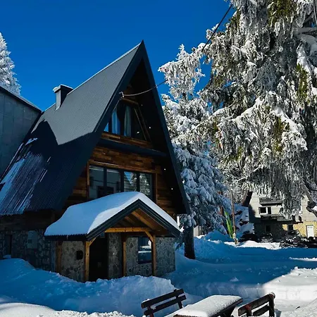 Winter Harmony Villa *